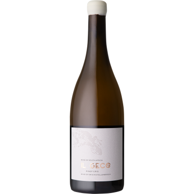 Il Geco Pinot Gris 2023