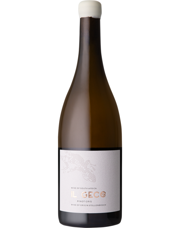 Il Geco Pinot Gris 2023 Il Geco Pinot Gris 2023